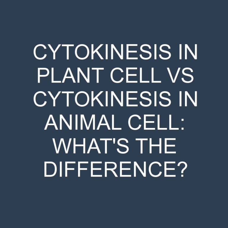 Cytokinesis In Plant Cell Vs Cytokinesis In Animal Cell: What’s the Difference?