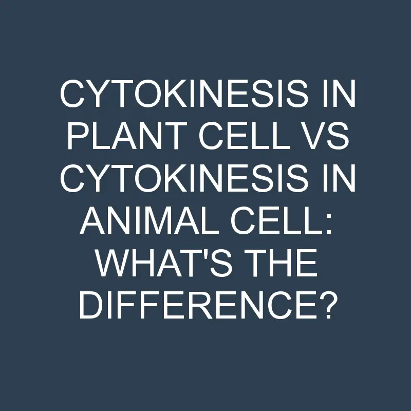 cytokinesis in plant cell vs cytokinesis in animal cell whats the difference 1974 1