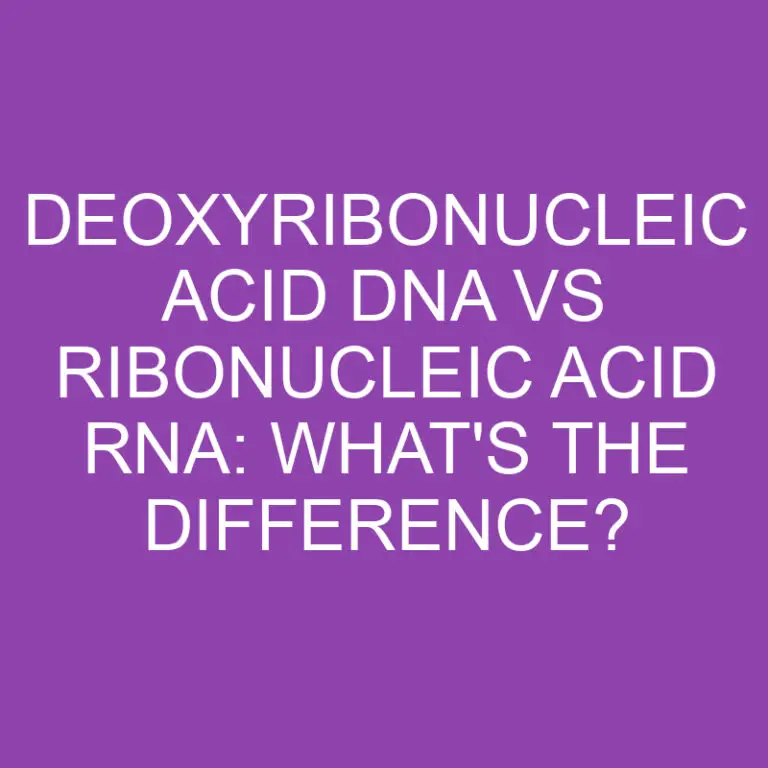 Deoxyribonucleic Acid Dna Vs Ribonucleic Acid Rna: What’s the Difference?