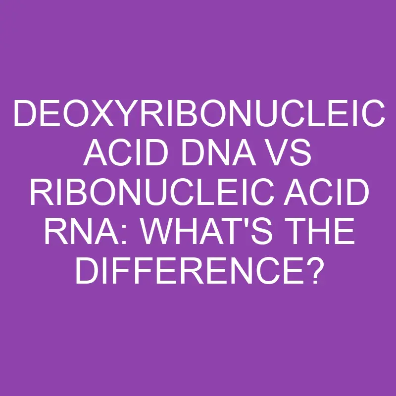 deoxyribonucleic acid dna vs ribonucleic acid rna whats the difference 3212