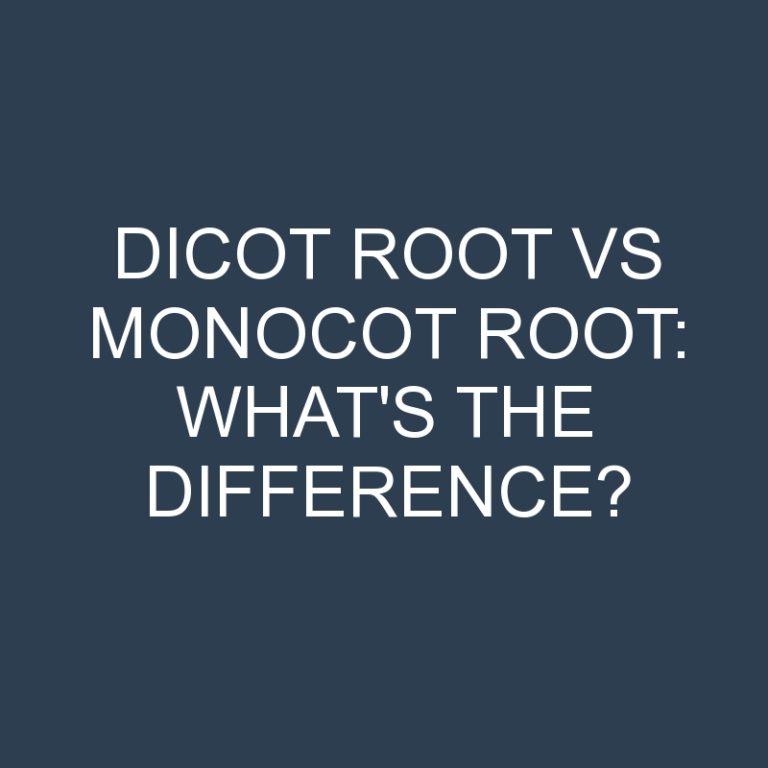 Dicot Root Vs Monocot Root: What’s the Difference?