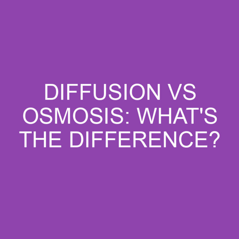Diffusion Vs Osmosis: What’s the Difference?