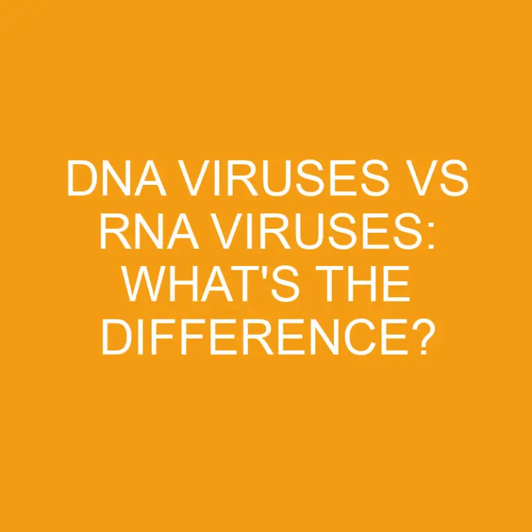 Dna Viruses Vs Rna Viruses: What’s the Difference?