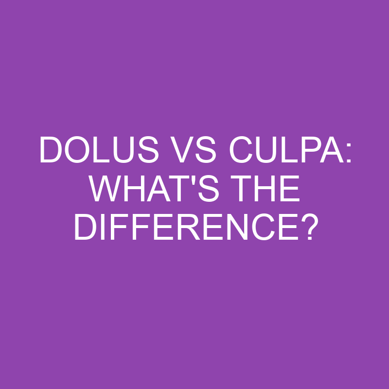 dolus vs culpa whats the difference 4114