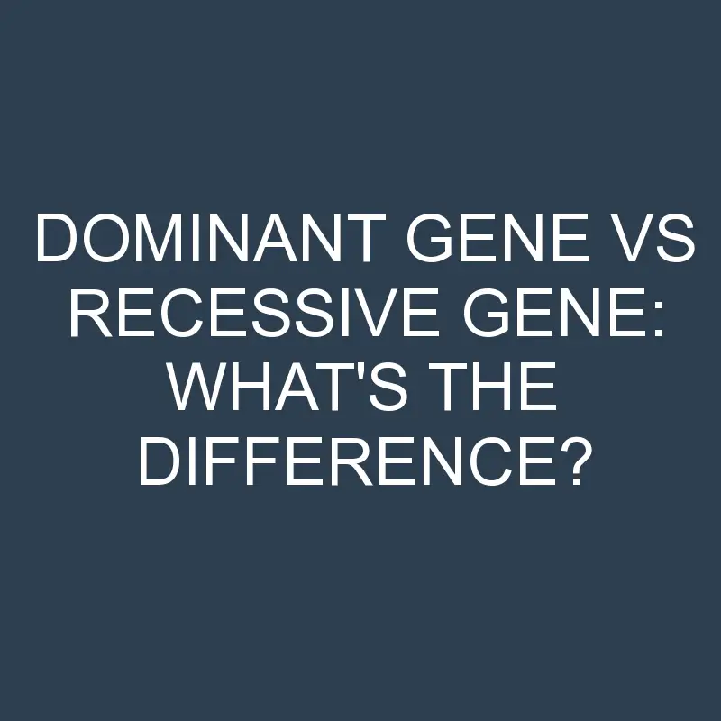 dominant gene vs recessive gene whats the difference 1954 1