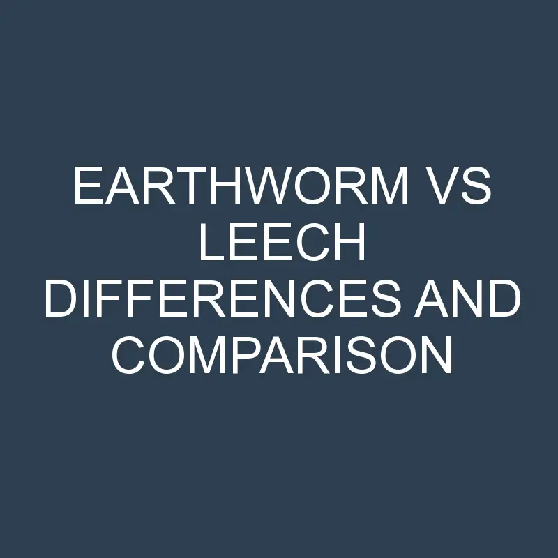 earthworm vs leech differences and comparison 486