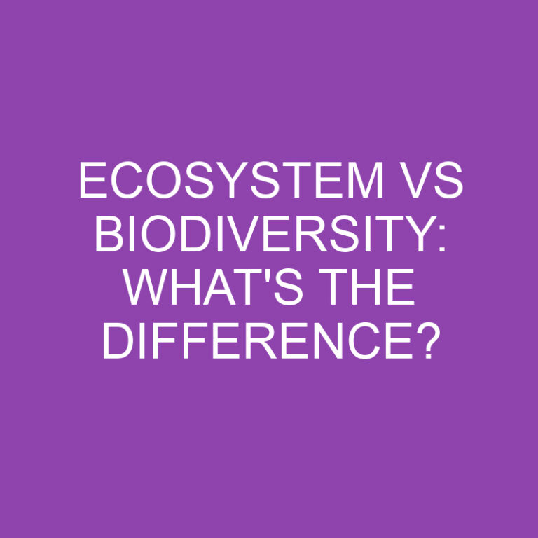 Ecosystem Vs Biodiversity: What’s The Difference?