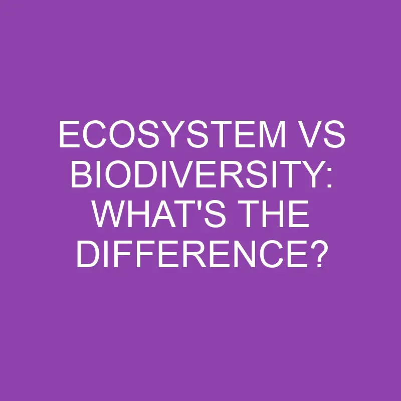 ecosystem vs biodiversity whats the difference 3875