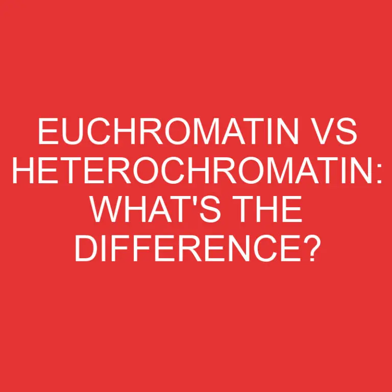 Euchromatin Vs Heterochromatin: What’s the Difference?