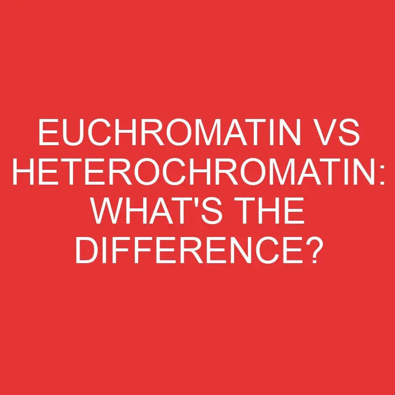 euchromatin vs heterochromatin whats the difference 3342