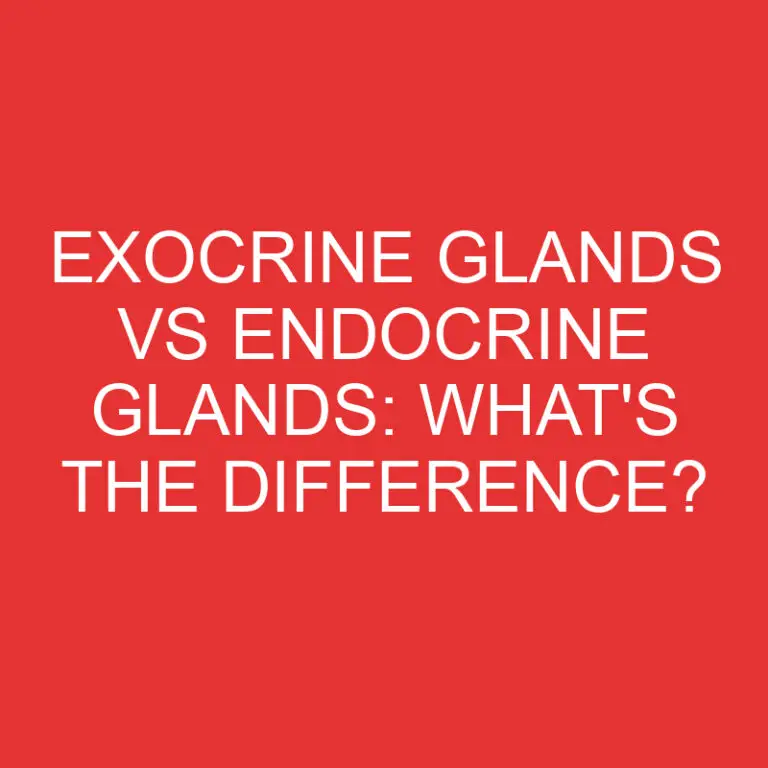 Exocrine Glands Vs Endocrine Glands: What’s the Difference?