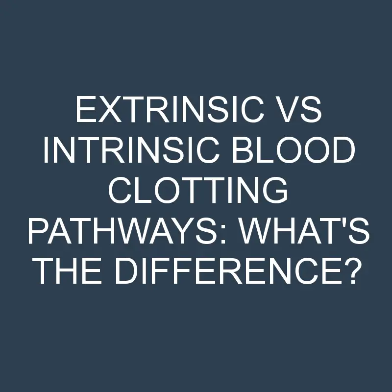 extrinsic vs intrinsic blood clotting pathways whats the difference 2065 1