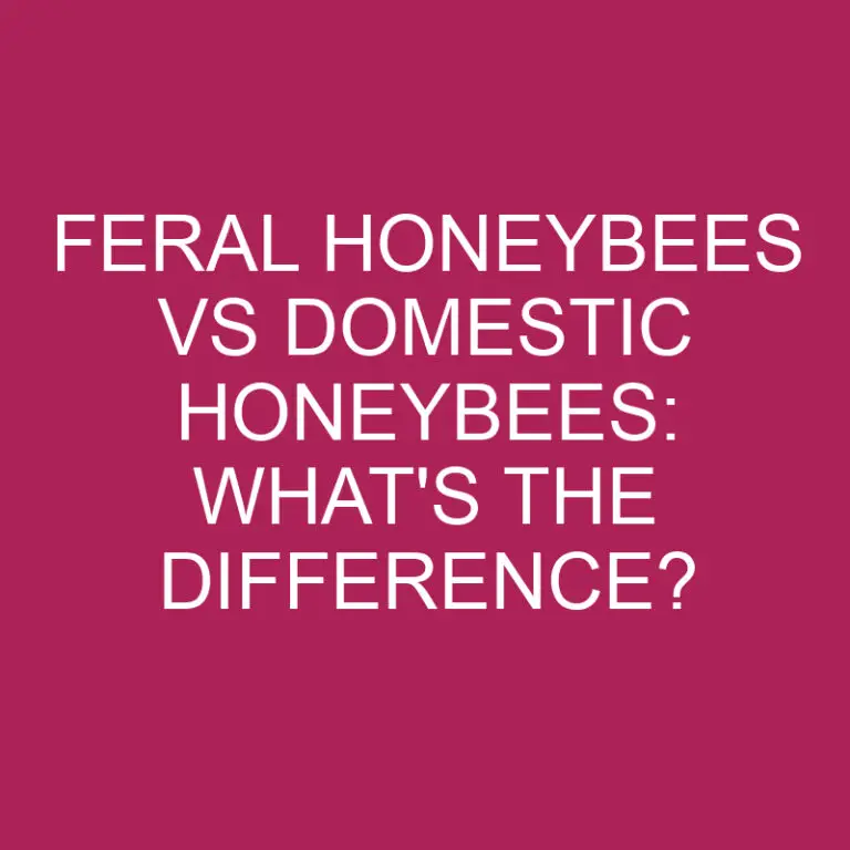 Feral Honeybees Vs Domestic Honeybees: What’s The Difference?