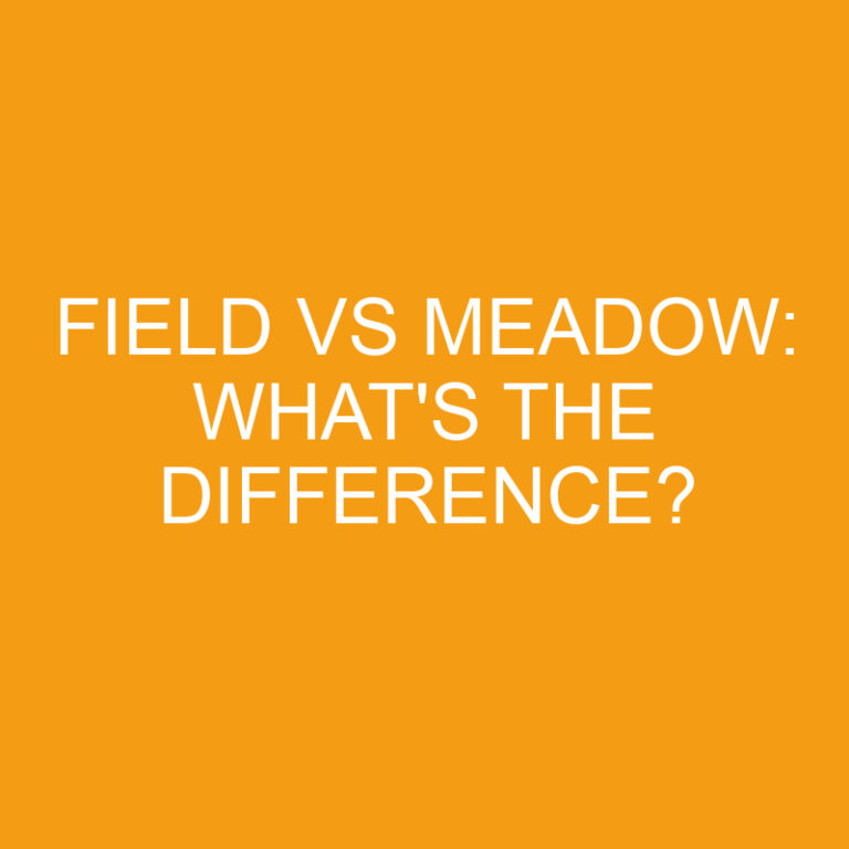 Field Vs Meadow: What’s The Difference?