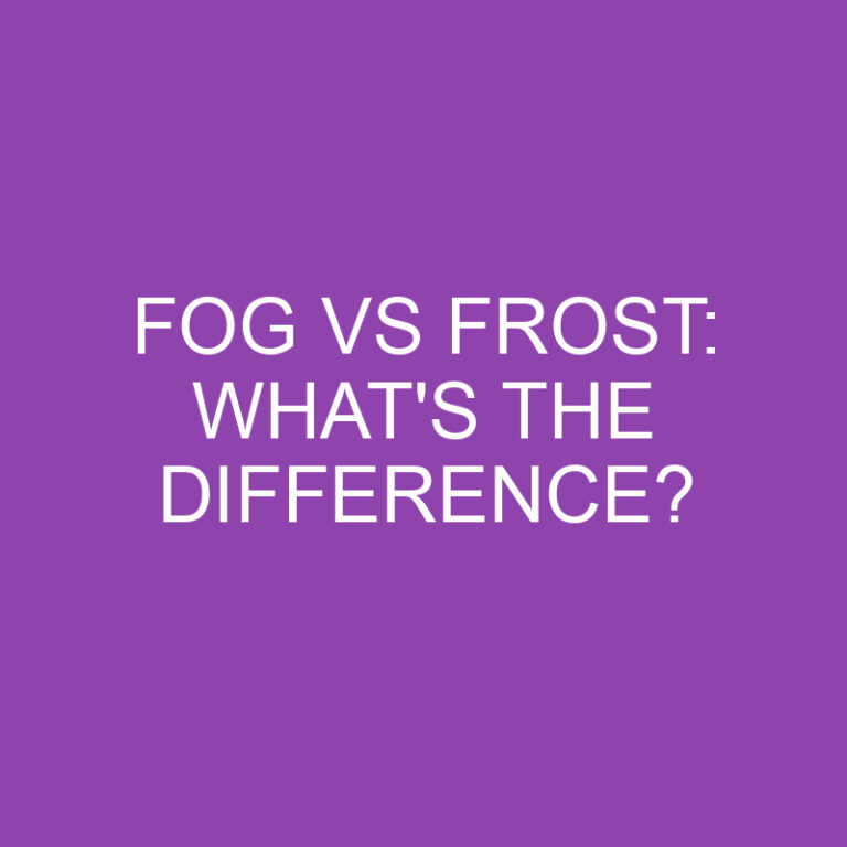 Fog Vs Frost: What’s The Difference?