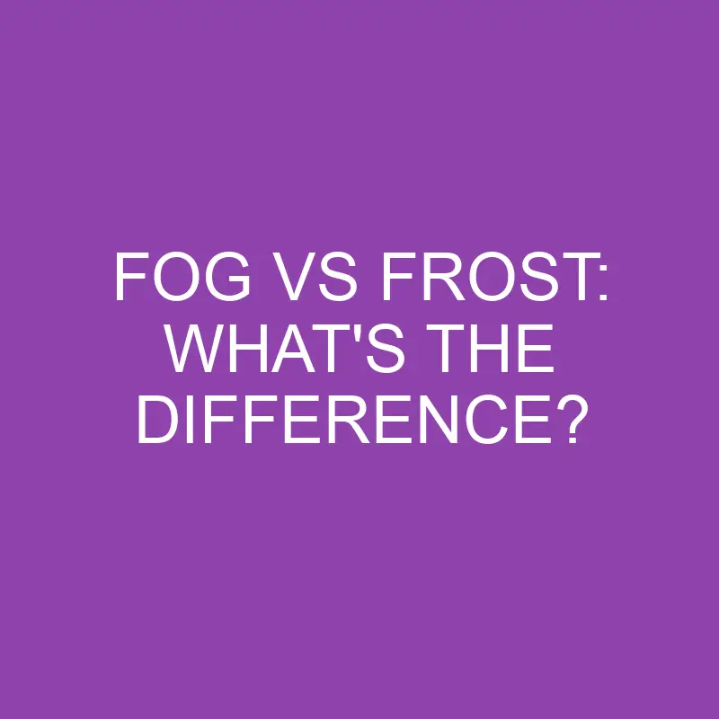 fog vs frost whats the difference 4349
