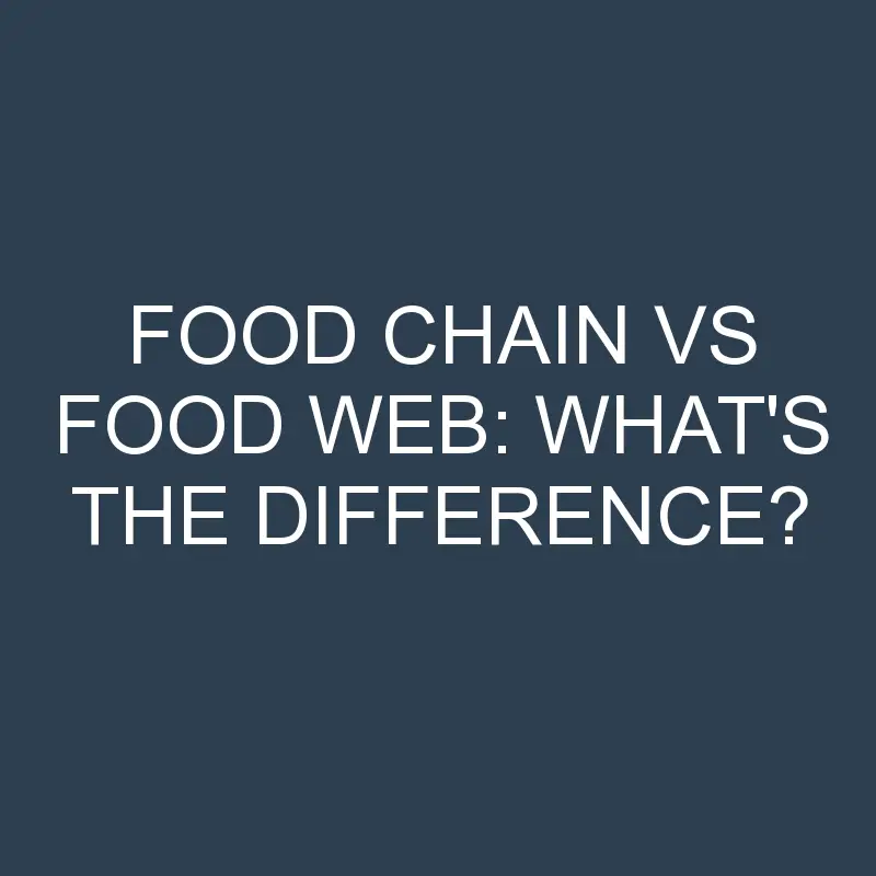 Food Chain Vs Food Web: What’s the Difference?