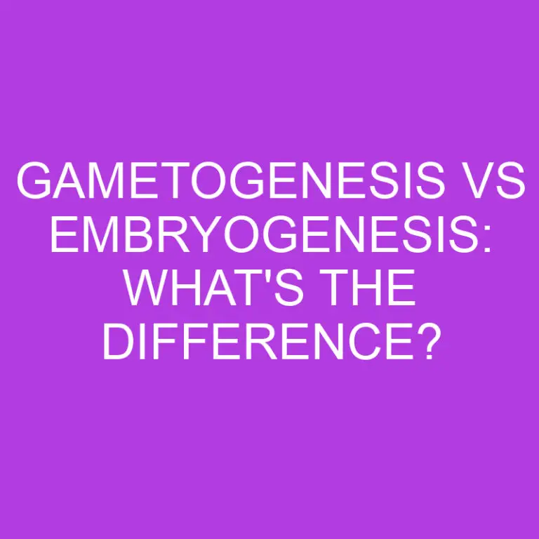 Gametogenesis Vs Embryogenesis: What’s The Difference?