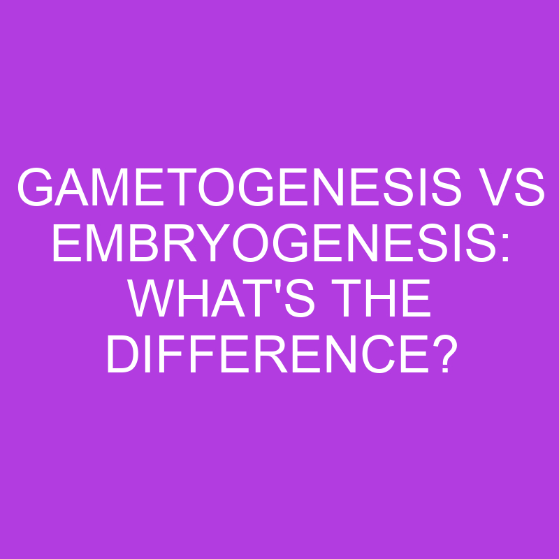 gametogenesis vs embryogenesis whats the difference 5141