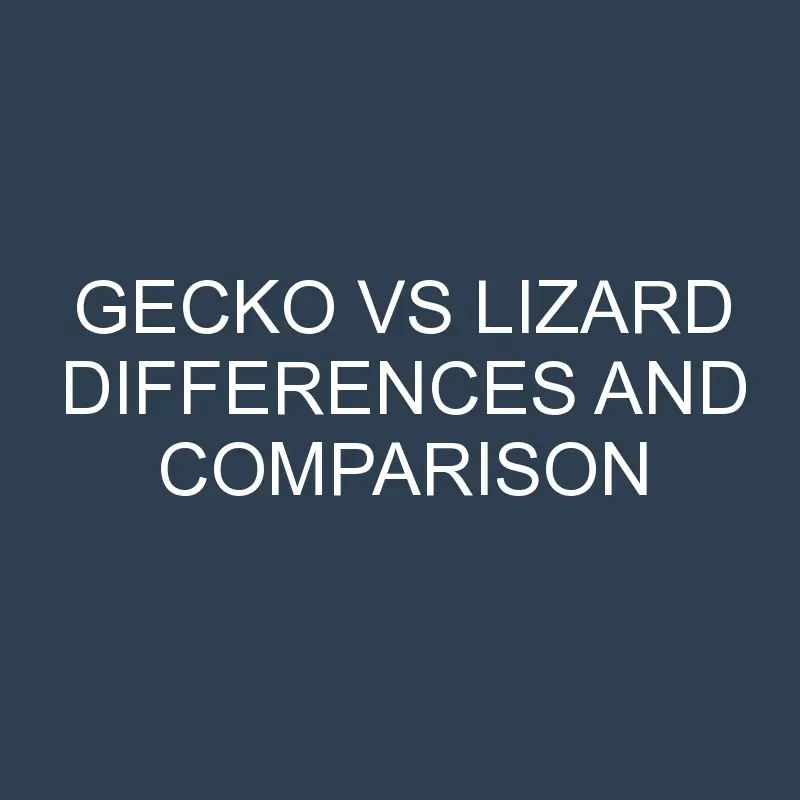 Gecko vs Lizard Differences and Comparison