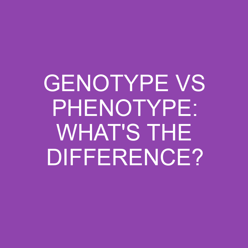 genotype vs phenotype whats the difference 3112