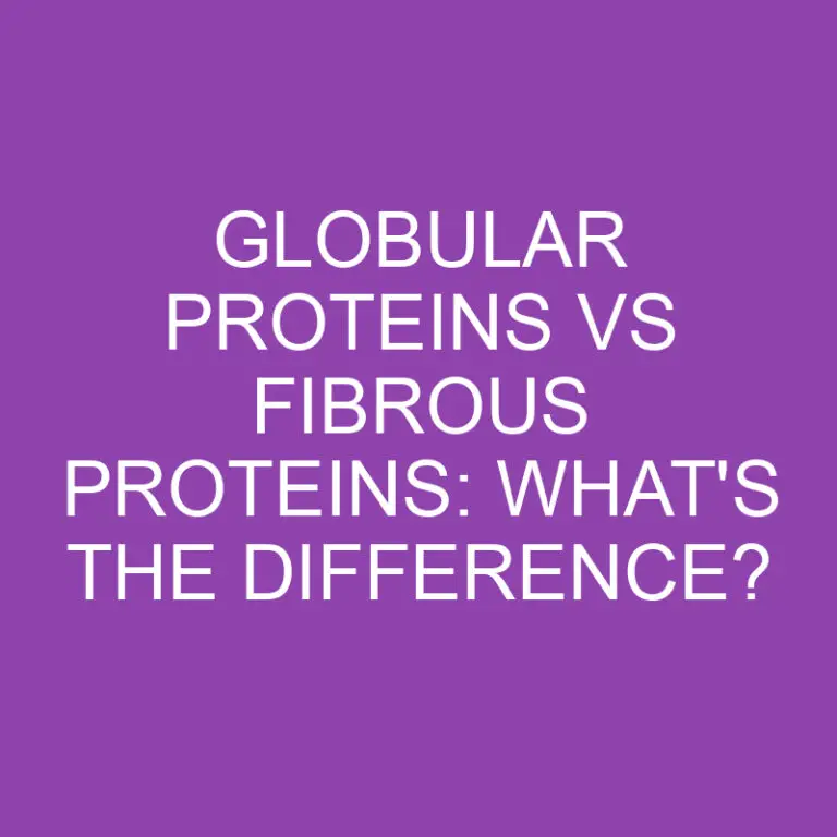 Globular Proteins Vs Fibrous Proteins: What’s the Difference?