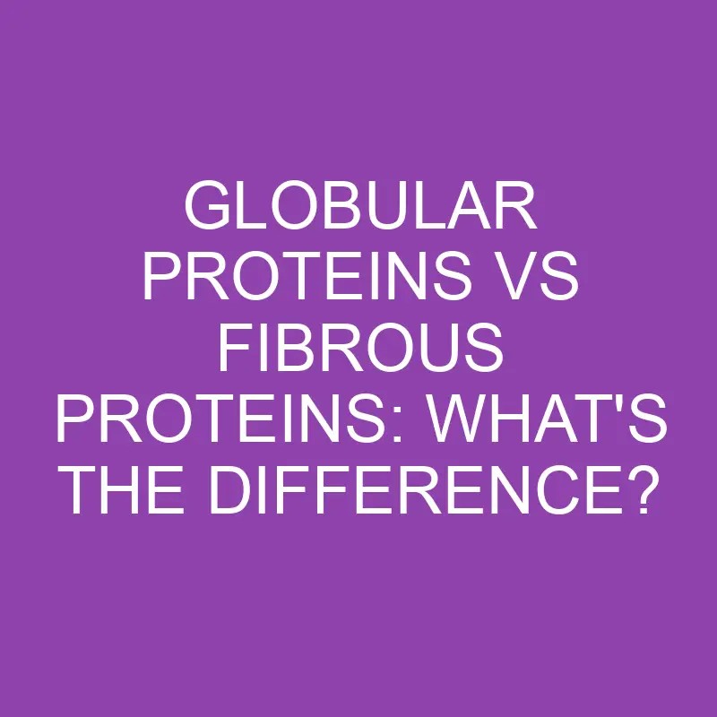 globular proteins vs fibrous proteins whats the difference 3160