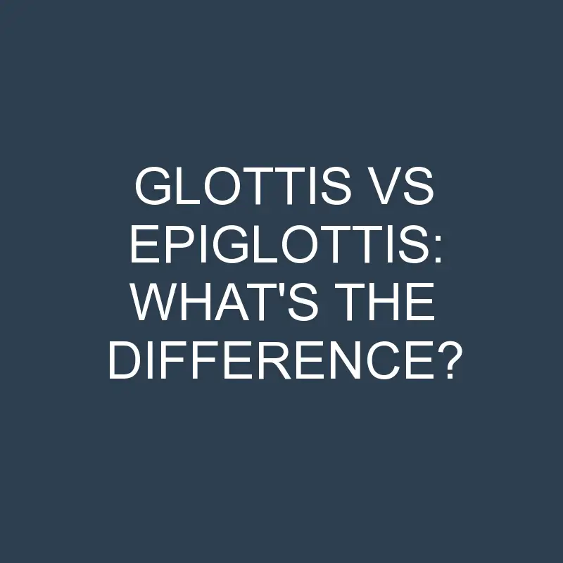 glottis vs epiglottis whats the difference 1982 1