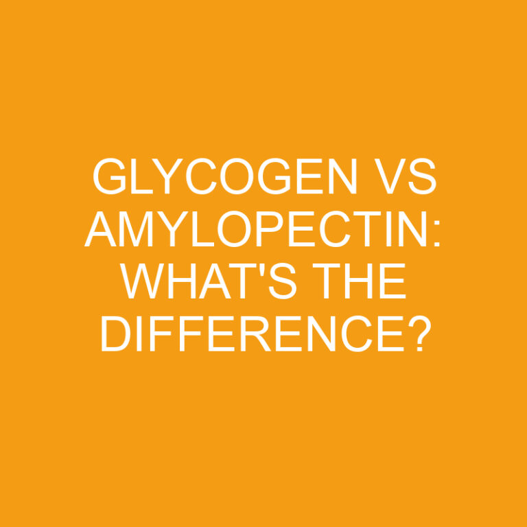 Glycogen Vs Amylopectin: What’s The Difference?