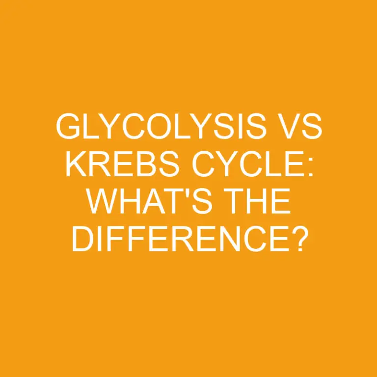 Glycolysis Vs Krebs Cycle: What’s the Difference?