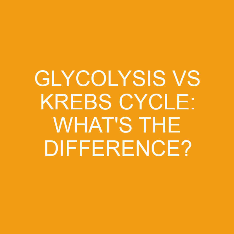 glycolysis vs krebs cycle whats the difference 3318