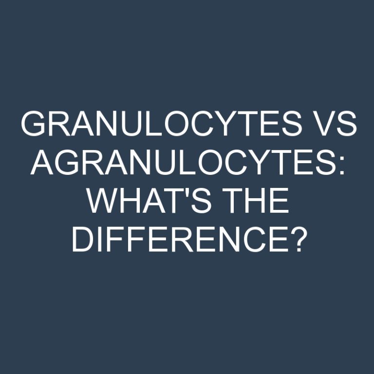 Granulocytes Vs Agranulocytes: What’s the Difference?