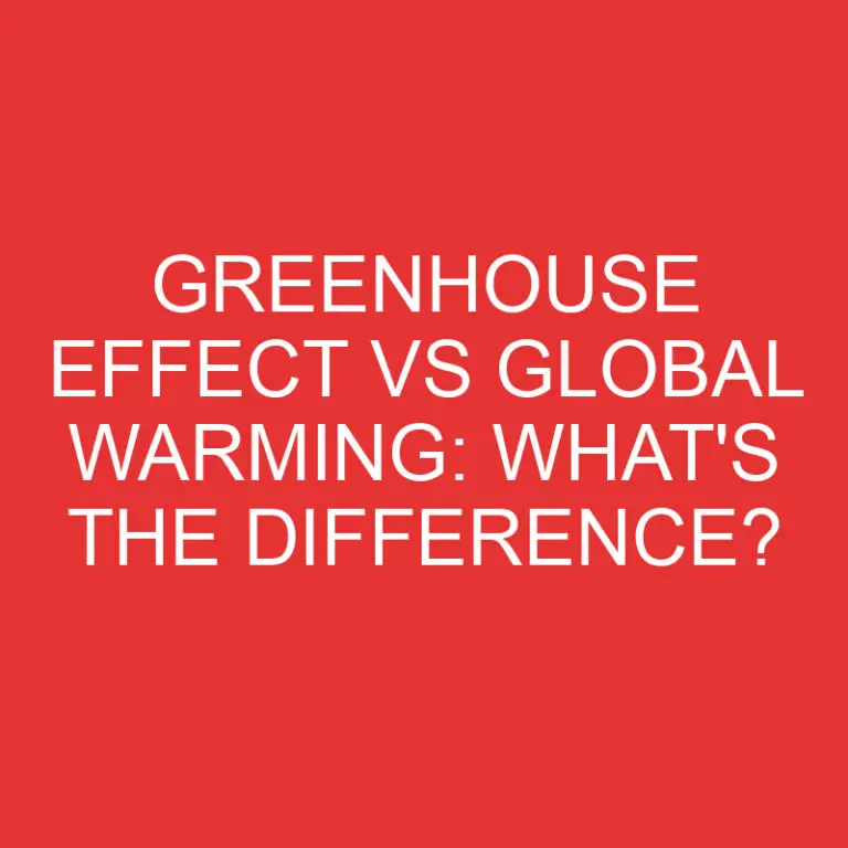 Greenhouse Effect Vs Global Warming: What’s the Difference?