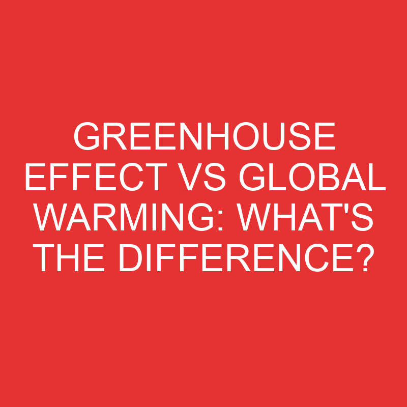 greenhouse effect vs global warming whats the difference 2776