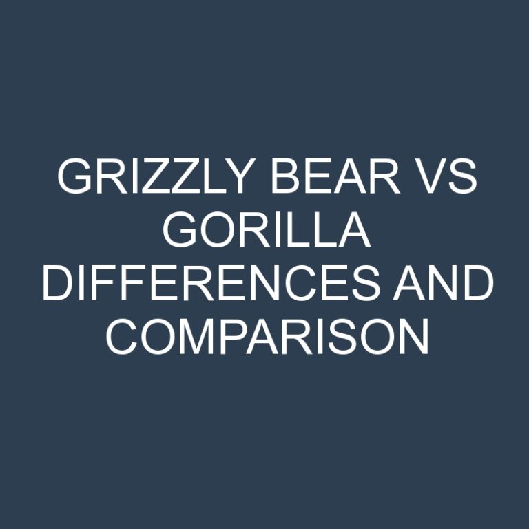 Grizzly Bear vs Gorilla Differences and Comparison