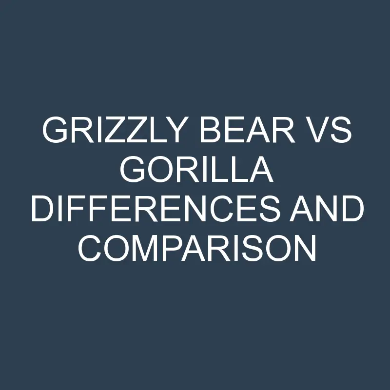 grizzly bear vs gorilla differences and comparison 656