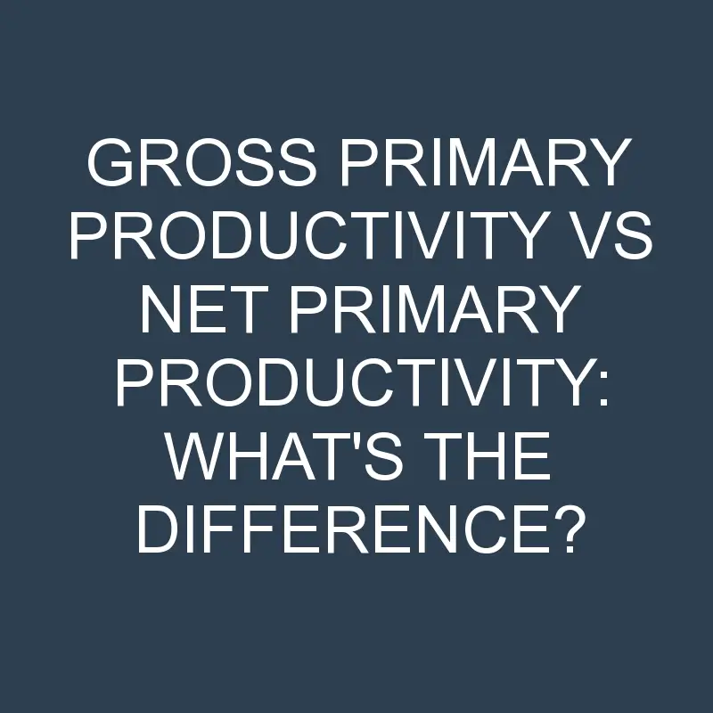 gross primary productivity vs net primary productivity whats the difference 1972 1