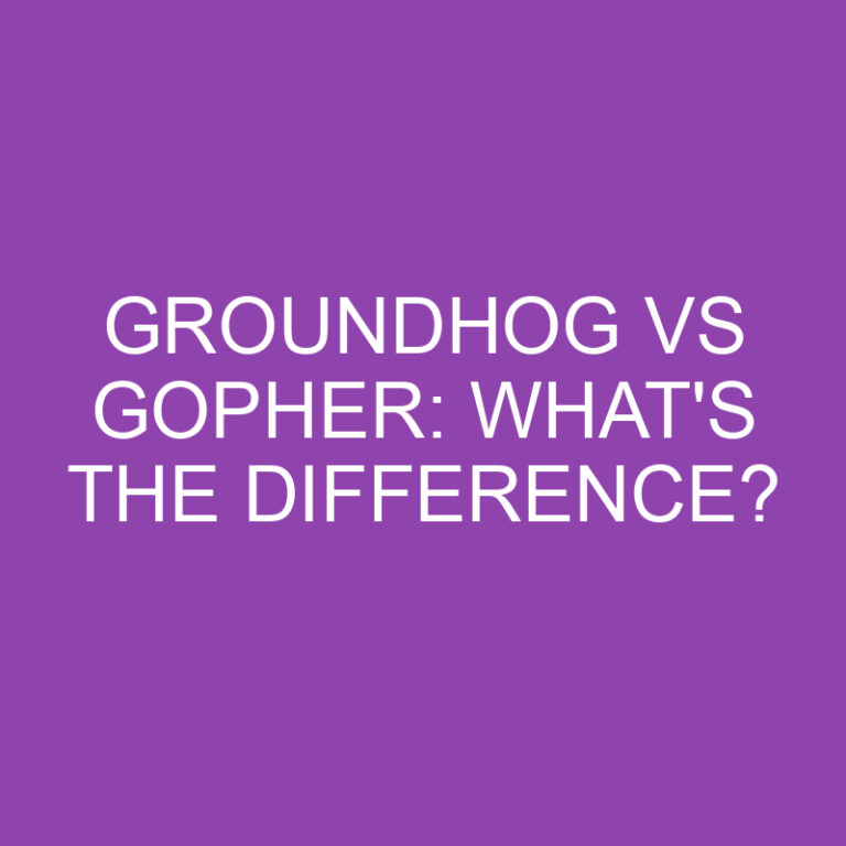 Groundhog Vs Gopher: What’s the Difference?