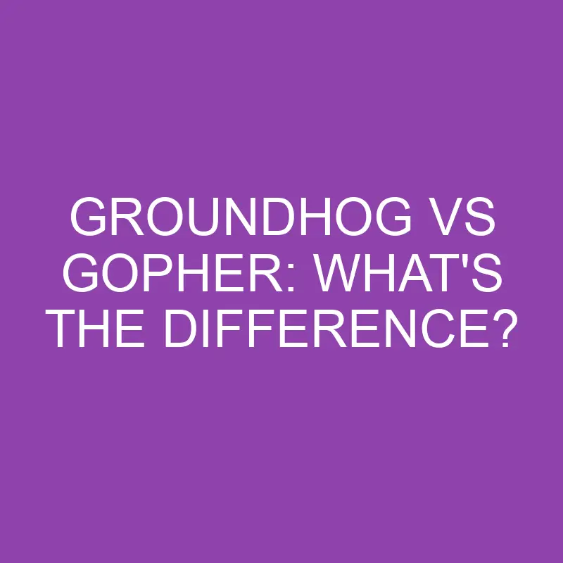 groundhog vs gopher whats the difference 3144