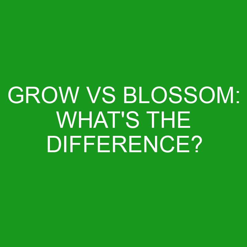 Grow Vs Blossom: What’s The Difference?