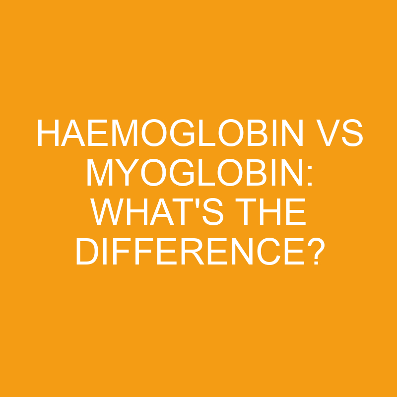 Haemoglobin Vs Myoglobin: What’s the Difference?