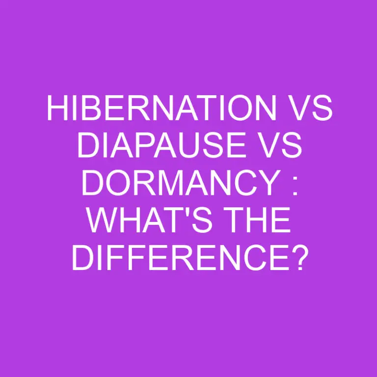 Hibernation Vs Diapause Vs Dormancy : What’s The Difference?