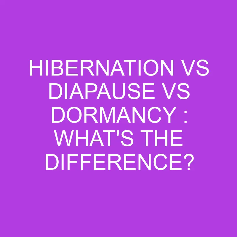 hibernation vs diapause vs dormancy whats the difference 5143