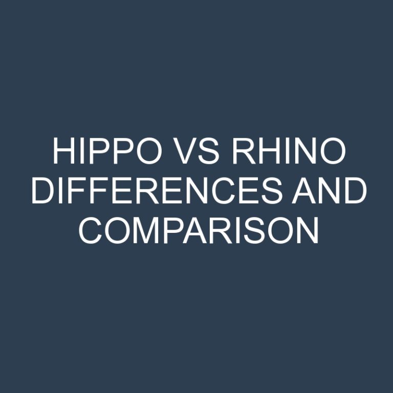 Hippo vs Rhino Differences and Comparison