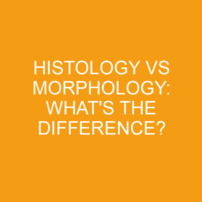 histology vs morphology whats the difference 3453