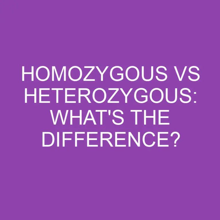 Homozygous Vs Heterozygous: What’s the Difference?
