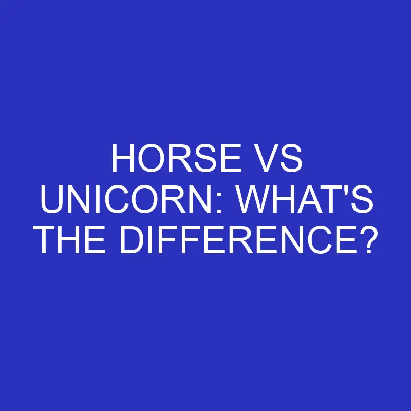 horse vs unicorn whats the difference 4788