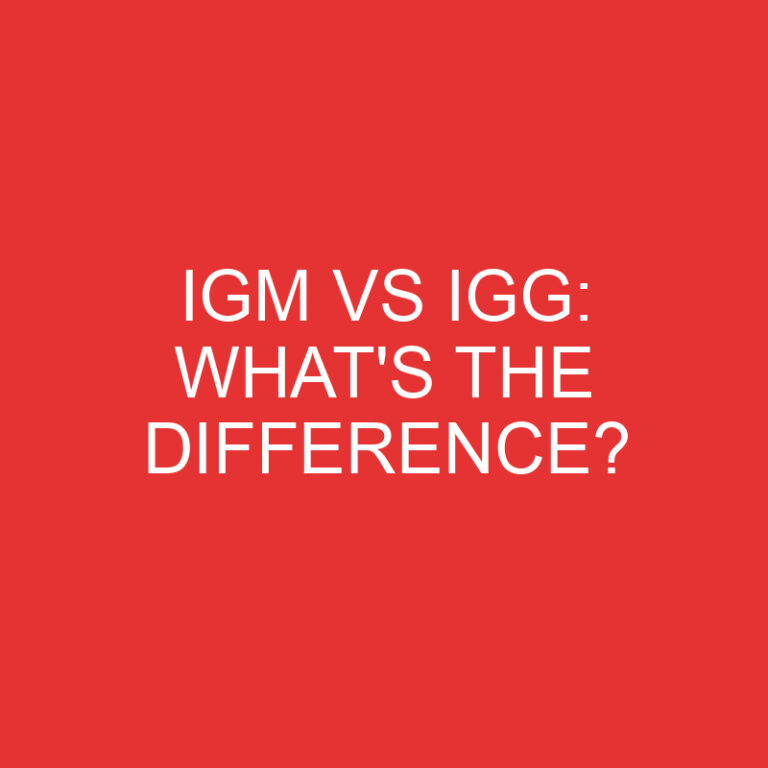 Igm Vs Igg: What’s the Difference?