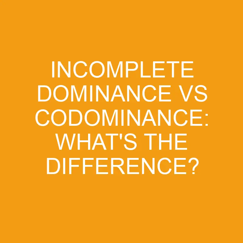 incomplete dominance vs codominance whats the difference 3321