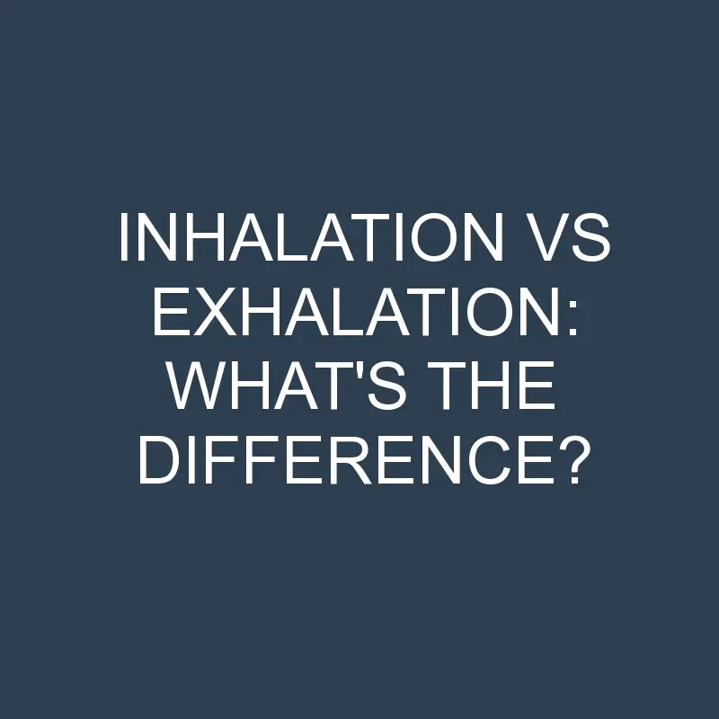 inhalation vs exhalation whats the difference 1998 1